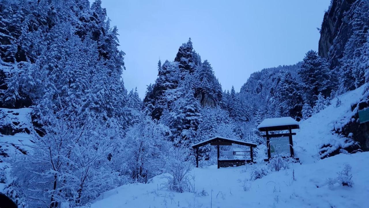 Casa Bicajeanului - Lacu Rosu Eksteriør bilde